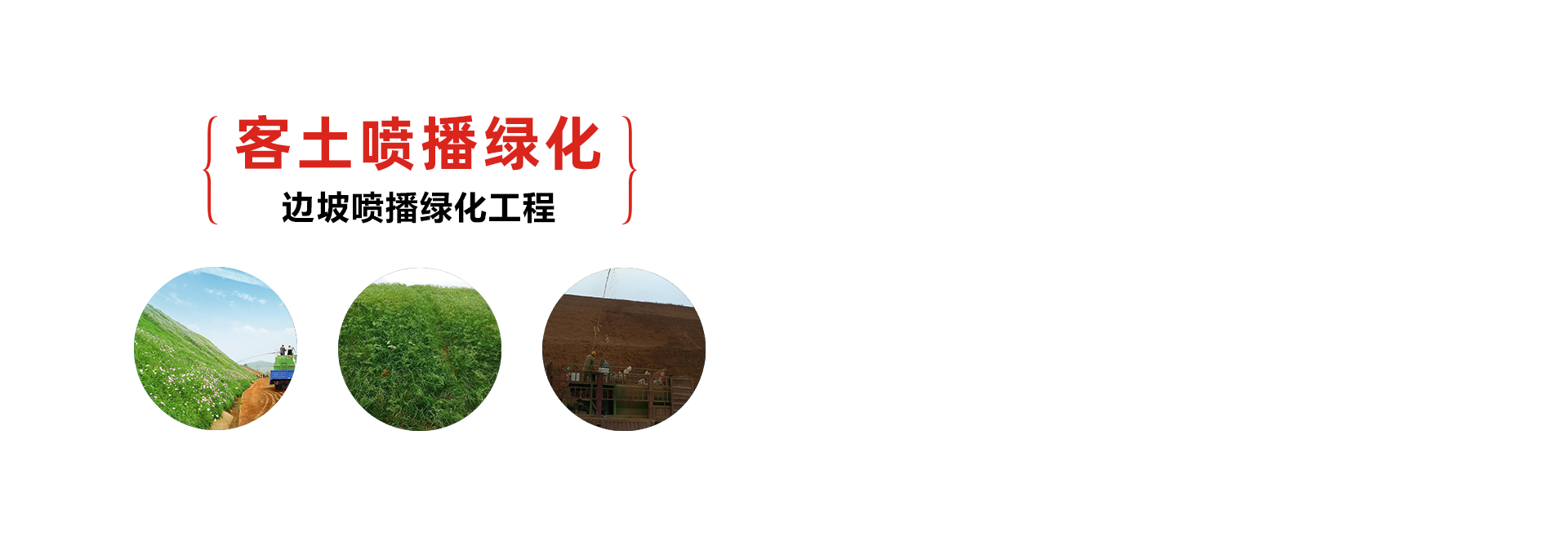 邊坡防護(hù)網(wǎng)-鋼絲繩網(wǎng)-邊坡綠化施工 - 安平縣騰旭金屬絲網(wǎng)制品廠(chǎng)